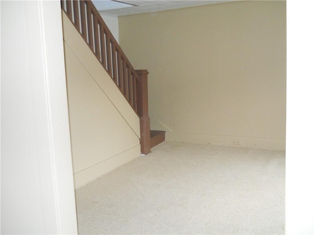 stairway with carpet floors