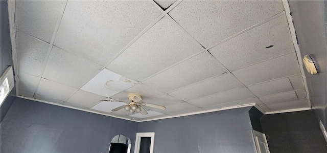 details with a drop ceiling and a ceiling fan