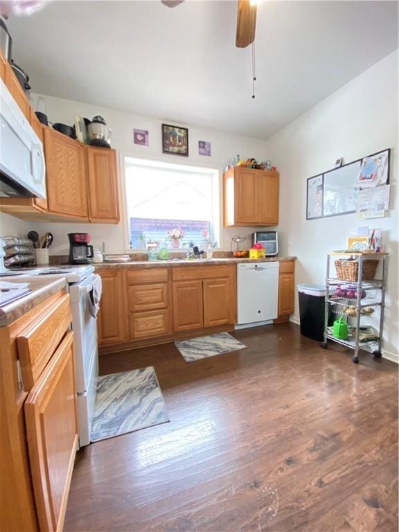 kitchen with white appliances, dark wood-style flooring, light countertops, and a ceiling fan