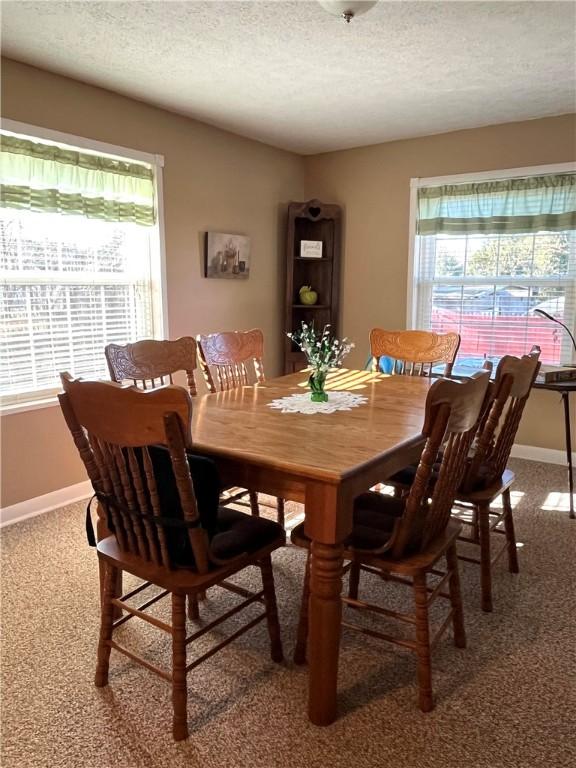 310 Church St, Harrisville Boro, PA 16038 - dining room featuring carpet floors, plenty of natural light, baseboards, and a textured ceiling