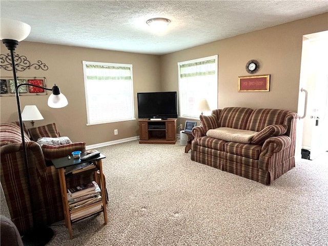 310 Church St, Harrisville Boro, PA 16038 - living area with carpet flooring, baseboards, and a textured ceiling