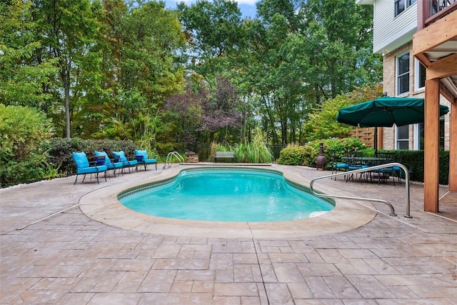 view of swimming pool with fence, a patio area, and a fenced in pool
