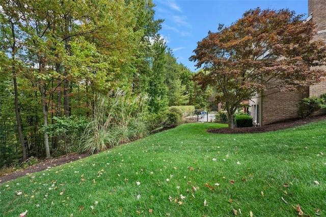 view of yard