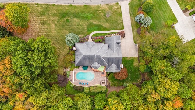 bird's eye view