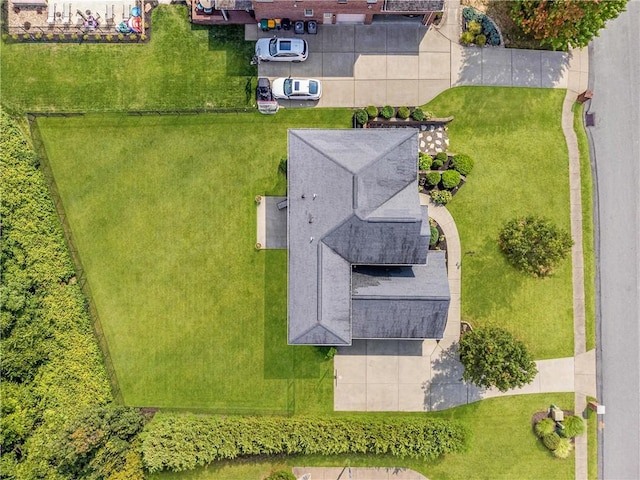 drone / aerial view