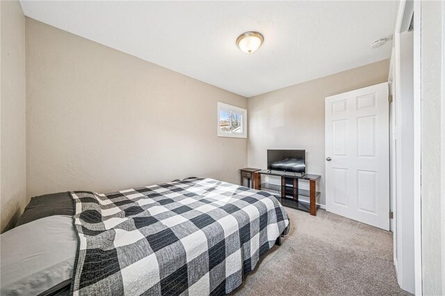 bedroom featuring carpet floors