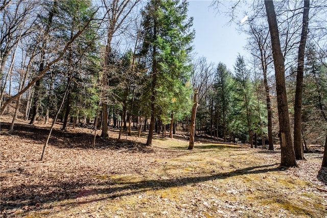 126 Green Forest Dr, Economy, PA 15005 - photo 40