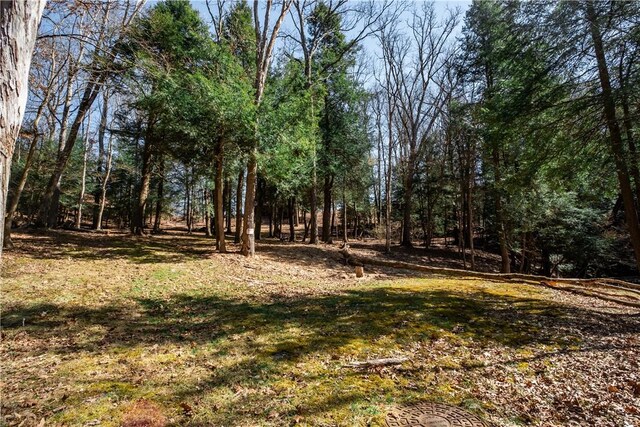 126 Green Forest Dr, Economy, PA 15005 - photo 42