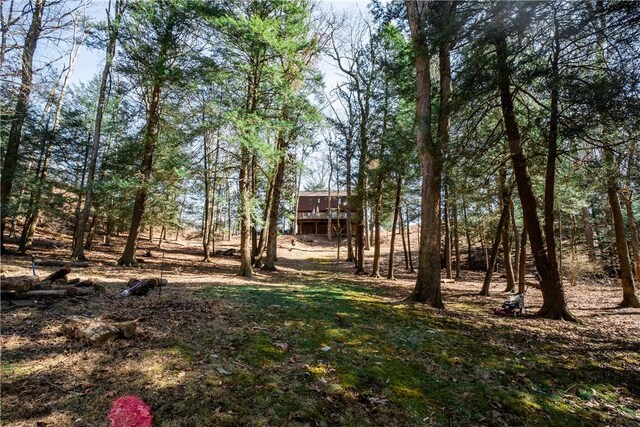 126 Green Forest Dr, Economy, PA 15005 - photo 43