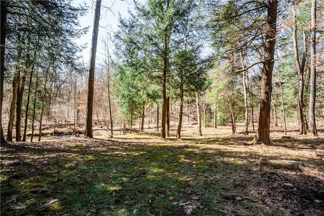 126 Green Forest Dr, Economy, PA 15005 - photo 44