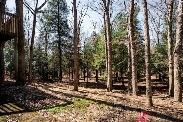 126 Green Forest Dr, Economy, PA 15005 - photo 45