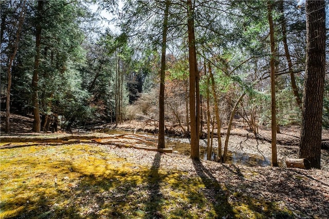 126 Green Forest Dr, Economy, PA 15005 - photo 46