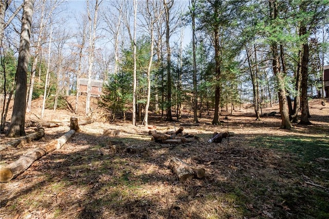 126 Green Forest Dr, Economy, PA 15005 - photo 47