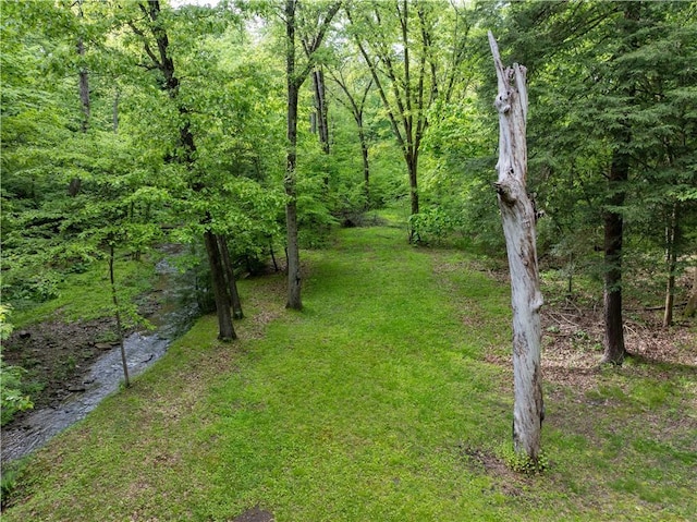 126 Green Forest Dr, Economy, PA 15005 - photo 34