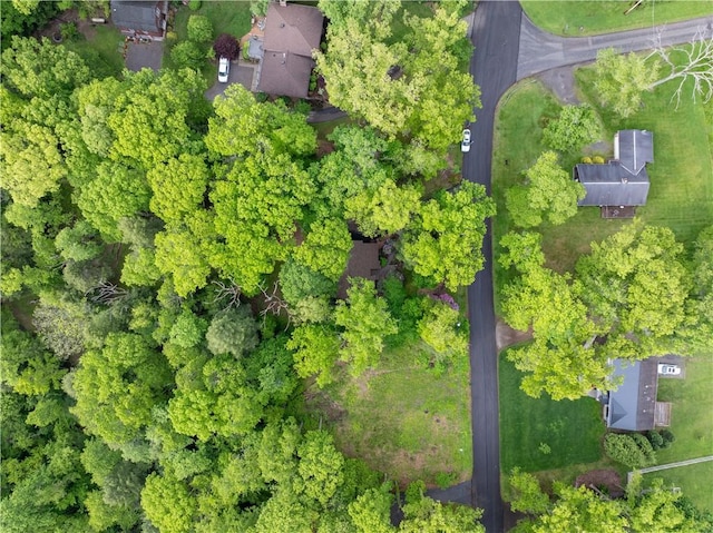 126 Green Forest Dr, Economy, PA 15005 - photo 36
