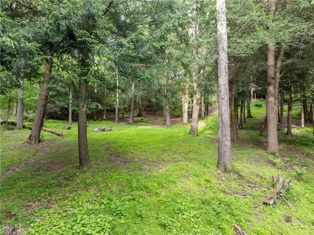 126 Green Forest Dr, Economy, PA 15005 - photo 37