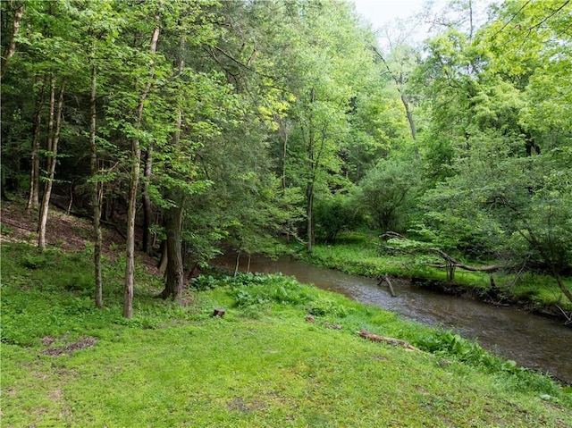 126 Green Forest Dr, Economy, PA 15005 - photo 38
