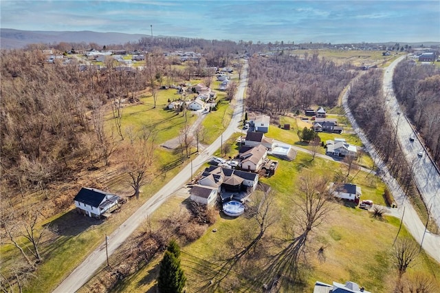 bird's eye view