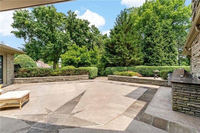 2172 Hycroft Dr, Upper St Clair, PA 15241 - view of patio / terrace with exterior kitchen