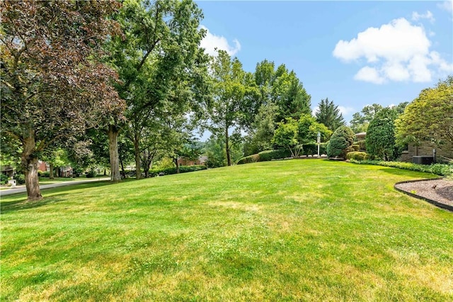 2172 Hycroft Dr, Upper St Clair, PA 15241 - view of grassy yard with view of scattered trees