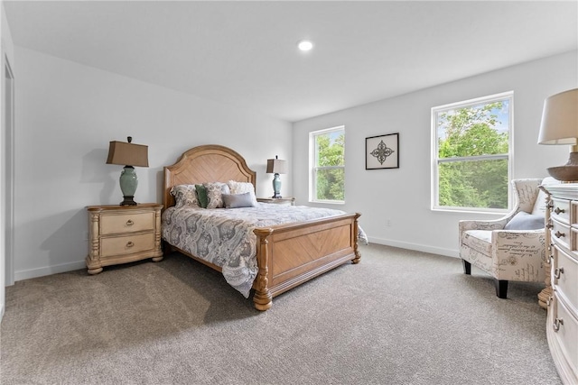 121 Samantha Dr, Center Twp, PA 15061 - bedroom featuring light carpet and recessed lighting
