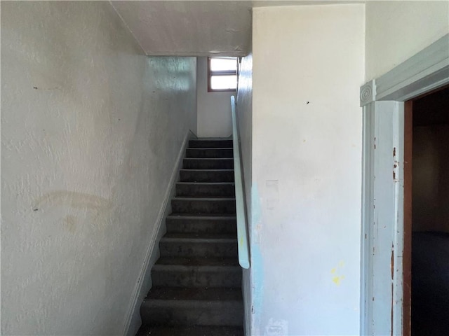 19 W Terrace Ave, New Castle, PA 16102 - photo 6
