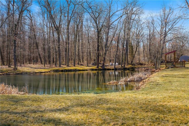 260 Stouffer Hill Rd, Somerset Twp, PA 15541 - water view with a forest view