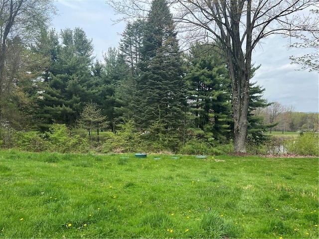 3425 Mercer Rd, Neshannock Twp, PA 16105 - view of landscape