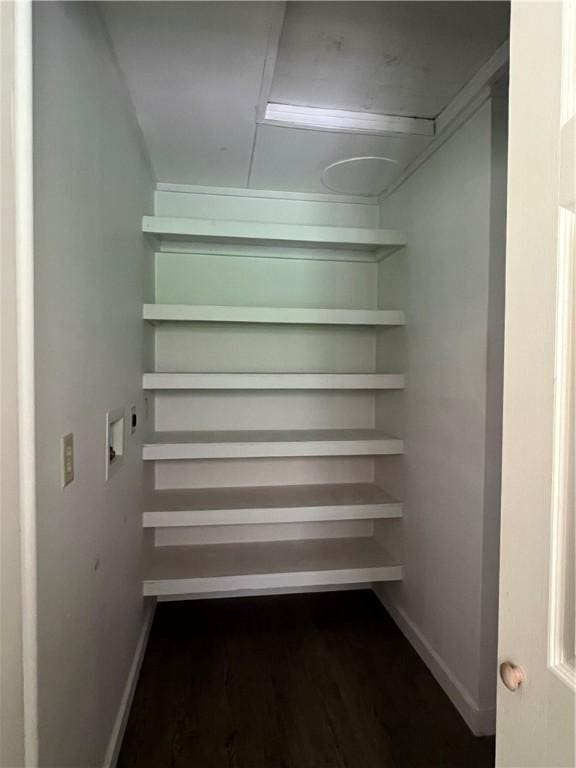 walk in closet featuring dark wood-style floors