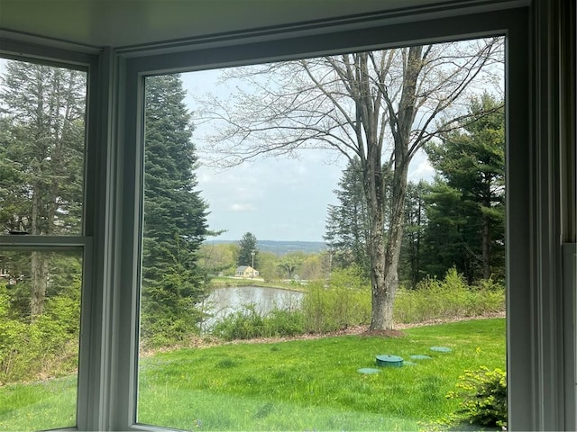 entryway with a water view and a healthy amount of sunlight