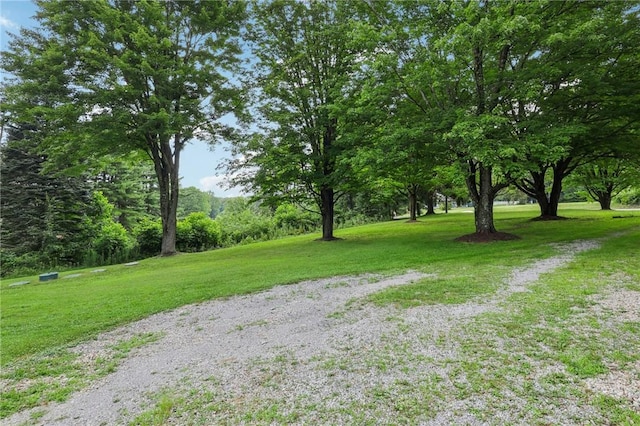 3425 Mercer Rd, Neshannock Twp, PA 16105 - photo 33