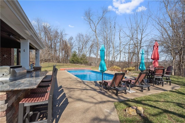 123 Windermere Ct, Peters Twp, PA 15317 - view of swimming pool with area for grilling, a patio area, an outdoor bar, and a fenced backyard