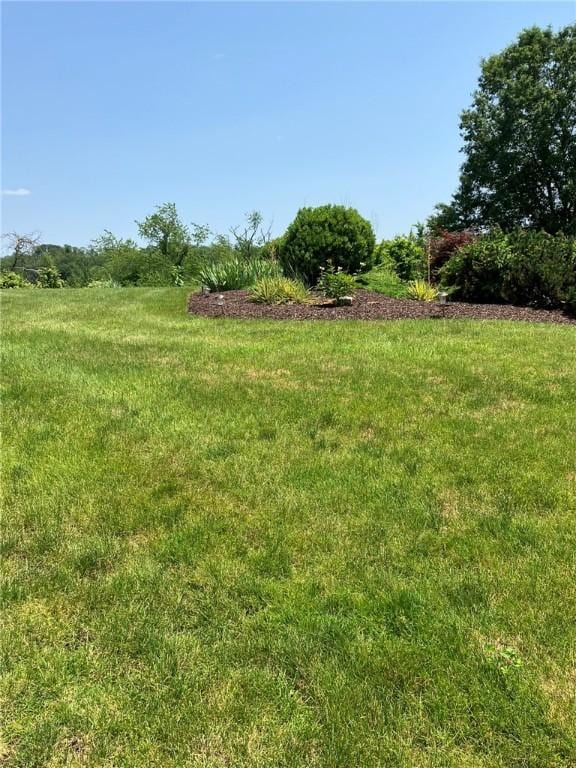 123 Windermere Ct, Peters Twp, PA 15317 - view of yard