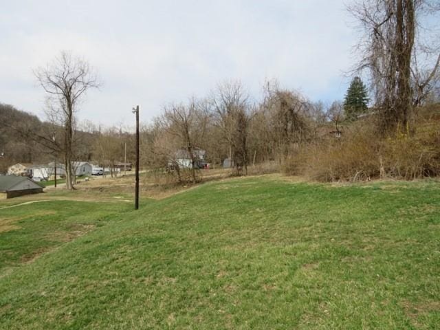 501 Adams St, West Newton, PA 15089 - view of green lawn
