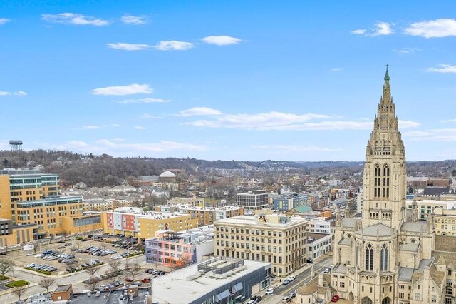 5850 Centre Ave Unit 215, Shadyside, PA 15206 - property's view of city