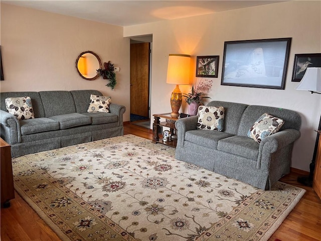 living area featuring wood finished floors
