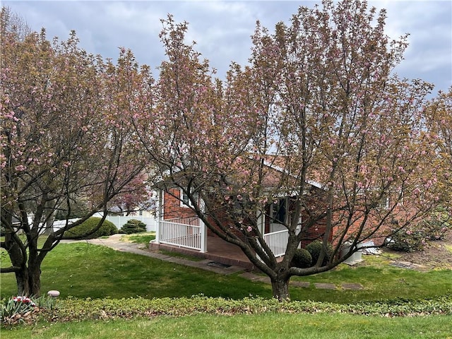view of side of property featuring a lawn