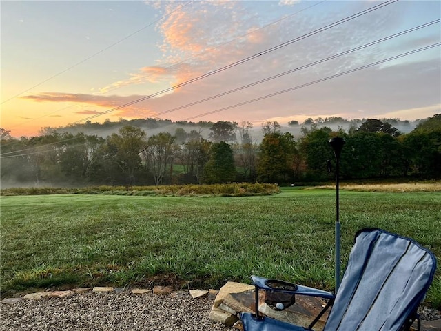 145 Brighton Ln, Adams Twp, PA 16046 - view of green lawn featuring view of scattered trees