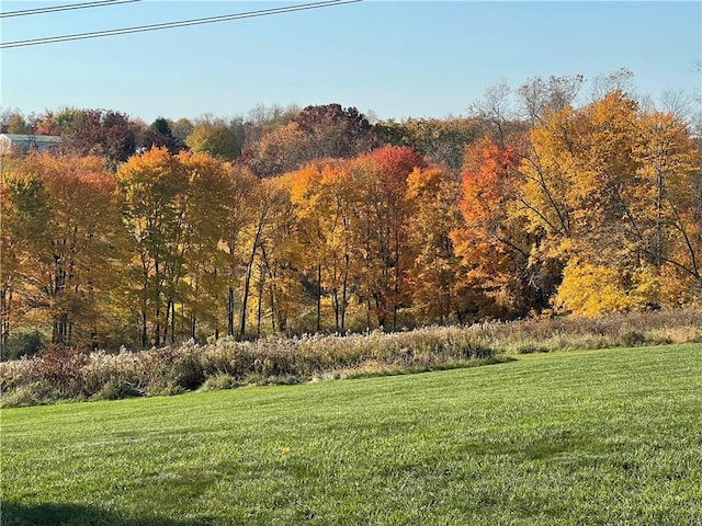 145 Brighton Ln, Adams Twp, PA 16046 - view of grassy yard featuring a wooded view