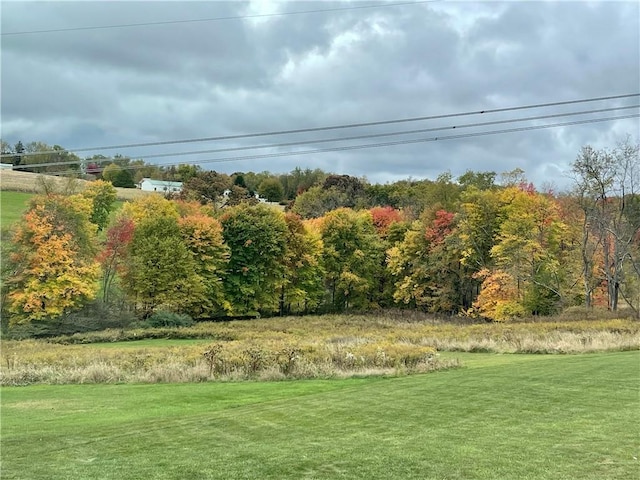 145 Brighton Ln, Adams Twp, PA 16046 - view of grassy yard with a forest view