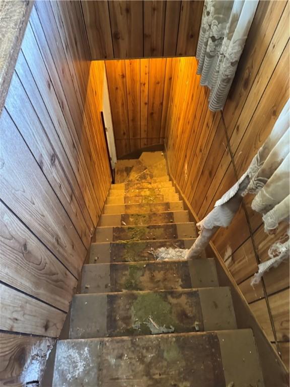 832 Delaware Ave, Glassport, PA 15045 - photo 3