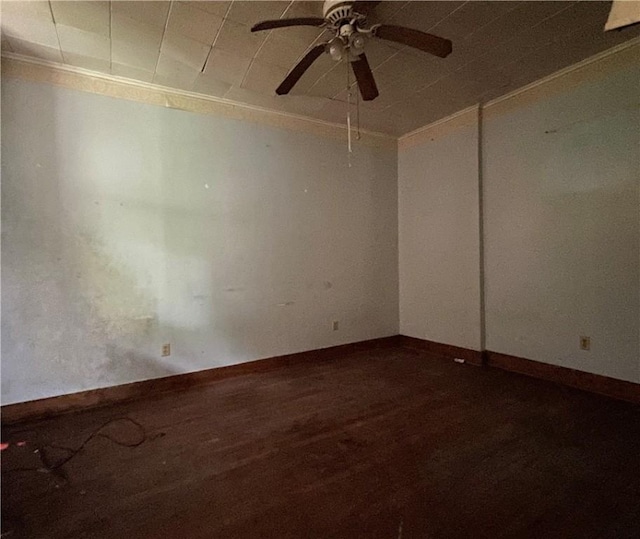 891 Munn St, Munhall, PA 15120 - photo 5