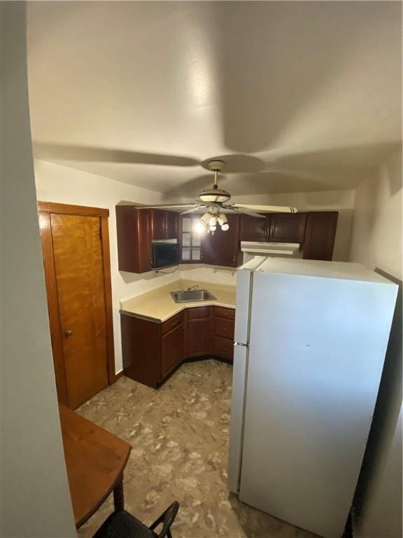 kitchen with freestanding refrigerator, a sink, a ceiling fan, and light countertops