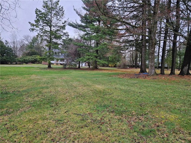 view of grassy yard