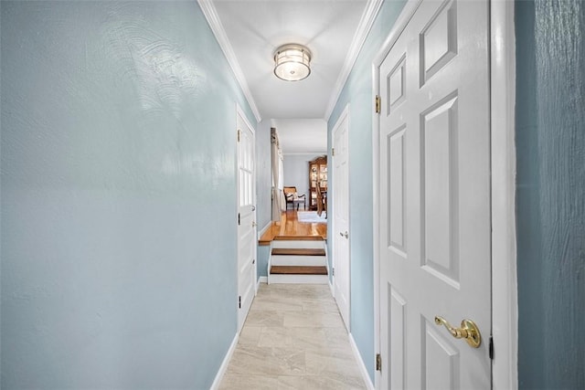 116 Himalaya Dr, Monroeville, PA 15146 - photo 22