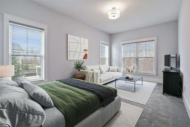 671 Chilliwack Ln, Marshall, PA 16046 - bedroom with carpet and baseboards