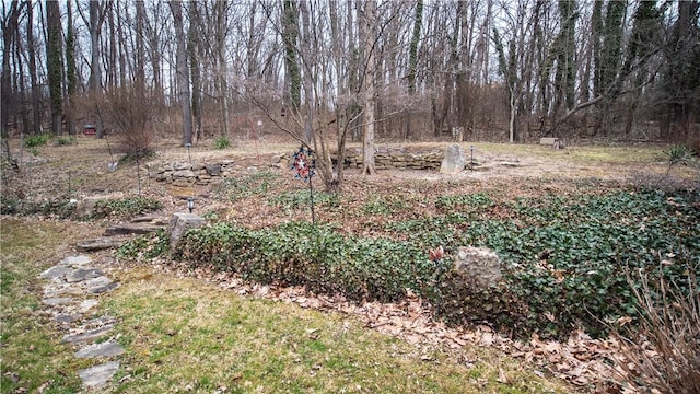 612 Freeport Rd, South Buffalo Twp, PA 16229 - view of yard
