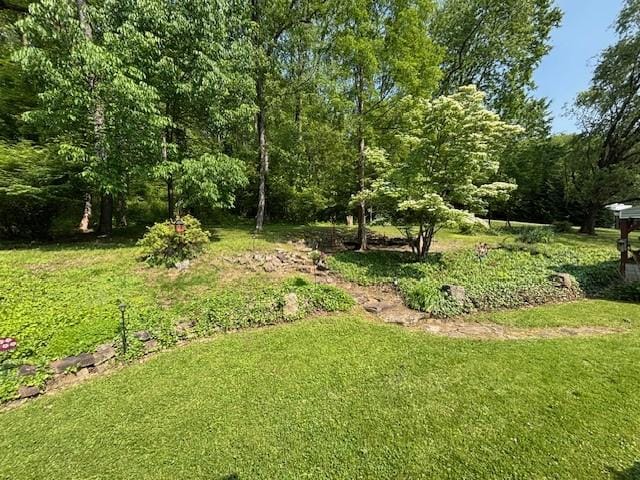612 Freeport Rd, South Buffalo Twp, PA 16229 - view of green lawn