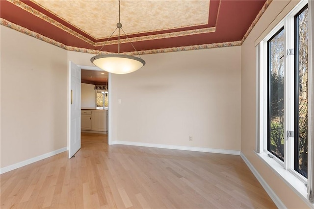 2036 Revere Dr, Connellsville, PA 15425 - unfurnished room featuring a tray ceiling, healthy amount of natural light, and light wood-type flooring