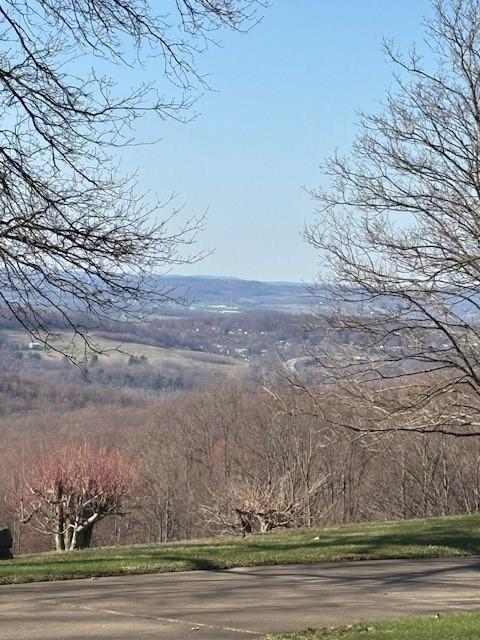 385 Kreinbrook Hill Rd, Bullskin Twp, PA 15666 - photo 40
